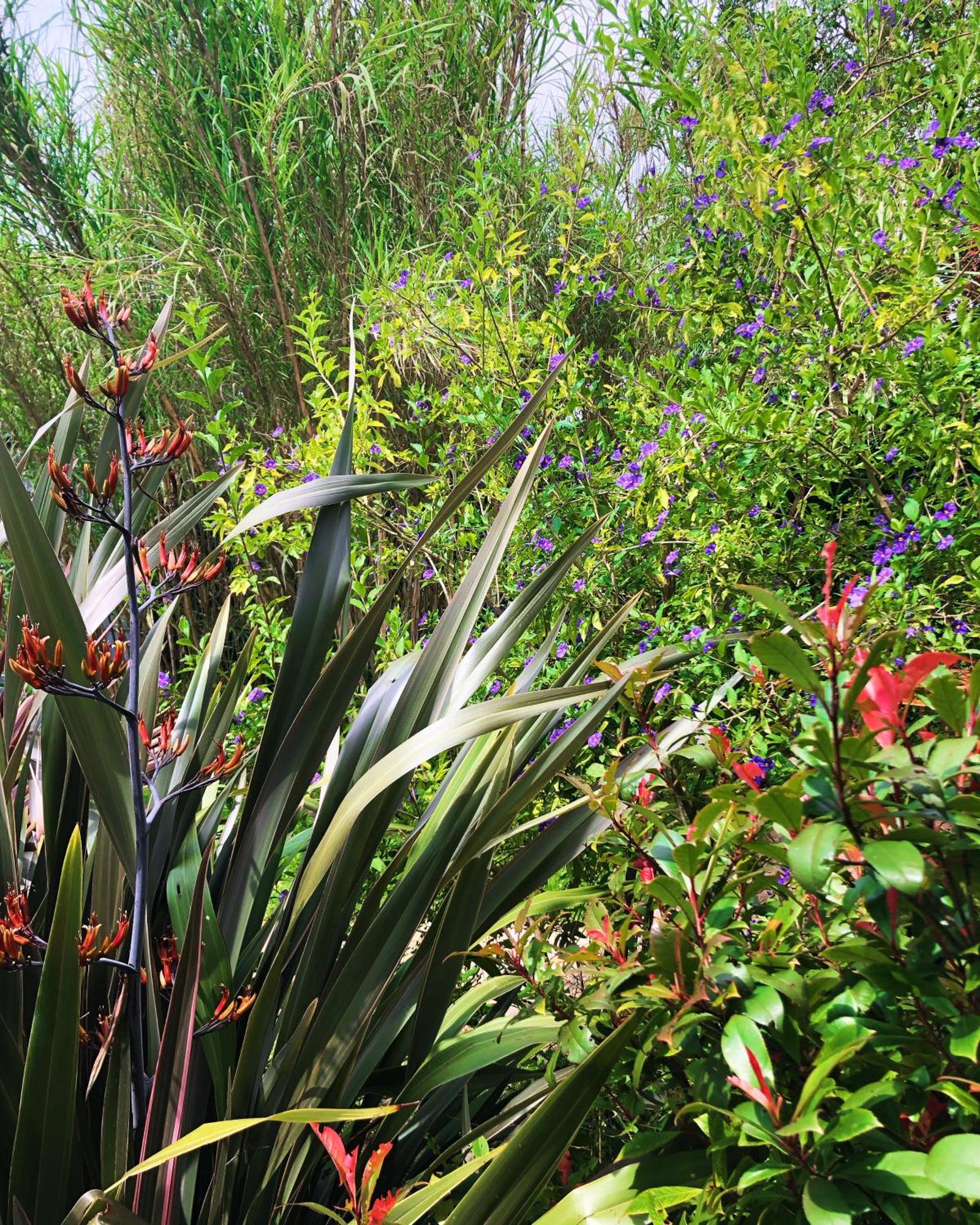 Le Jardin Des Portes Bed and Breakfast Les Portes-en-Re Esterno foto